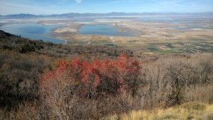 ViewOfMiddleOfBowl