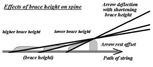 brace height - spine