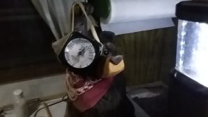 BearClockHolder2