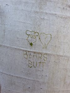 bearsbuttontree-copy